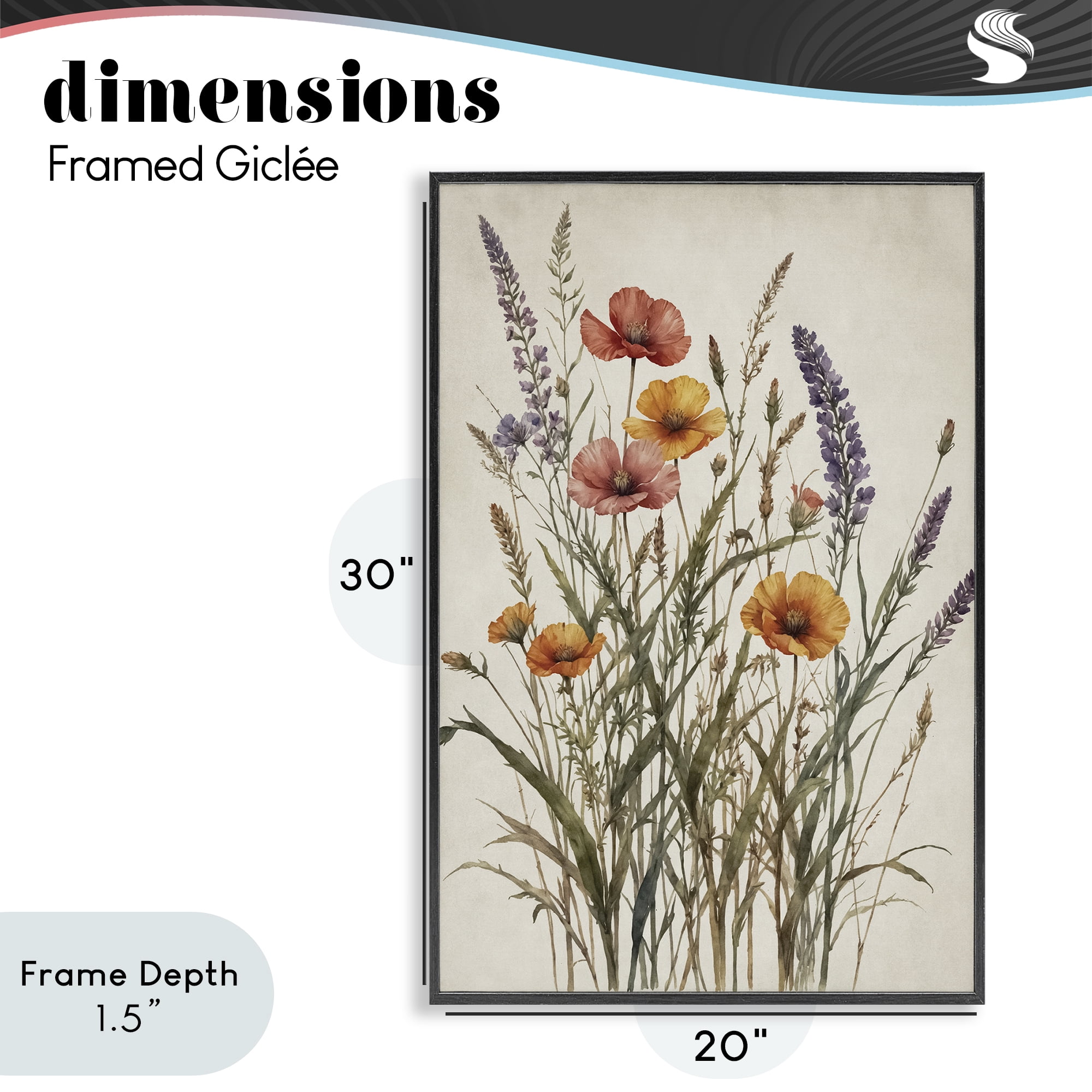 Stupell Industries Vintage Collection of Meadow Botanicals Black Framed Giclee Art, design by Nataly White