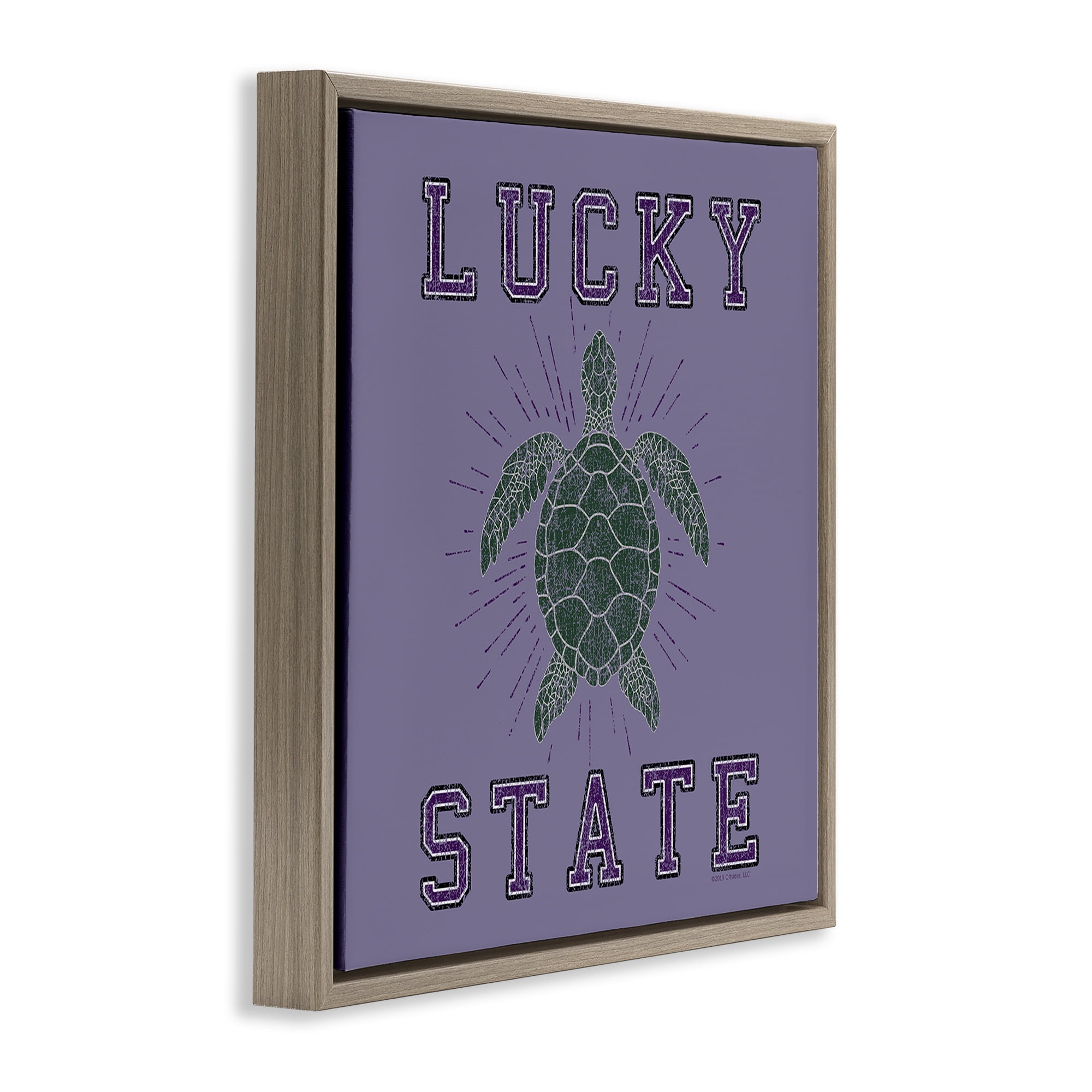 Stupell Industries Lucky Sea Turtle State Animals Painting Brown Floater Framed Canvas Art Print Wall Art, 18 x 18