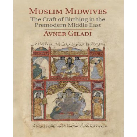 Tétines Musulmanes (Cambridge Études en Civilisation Islamique)