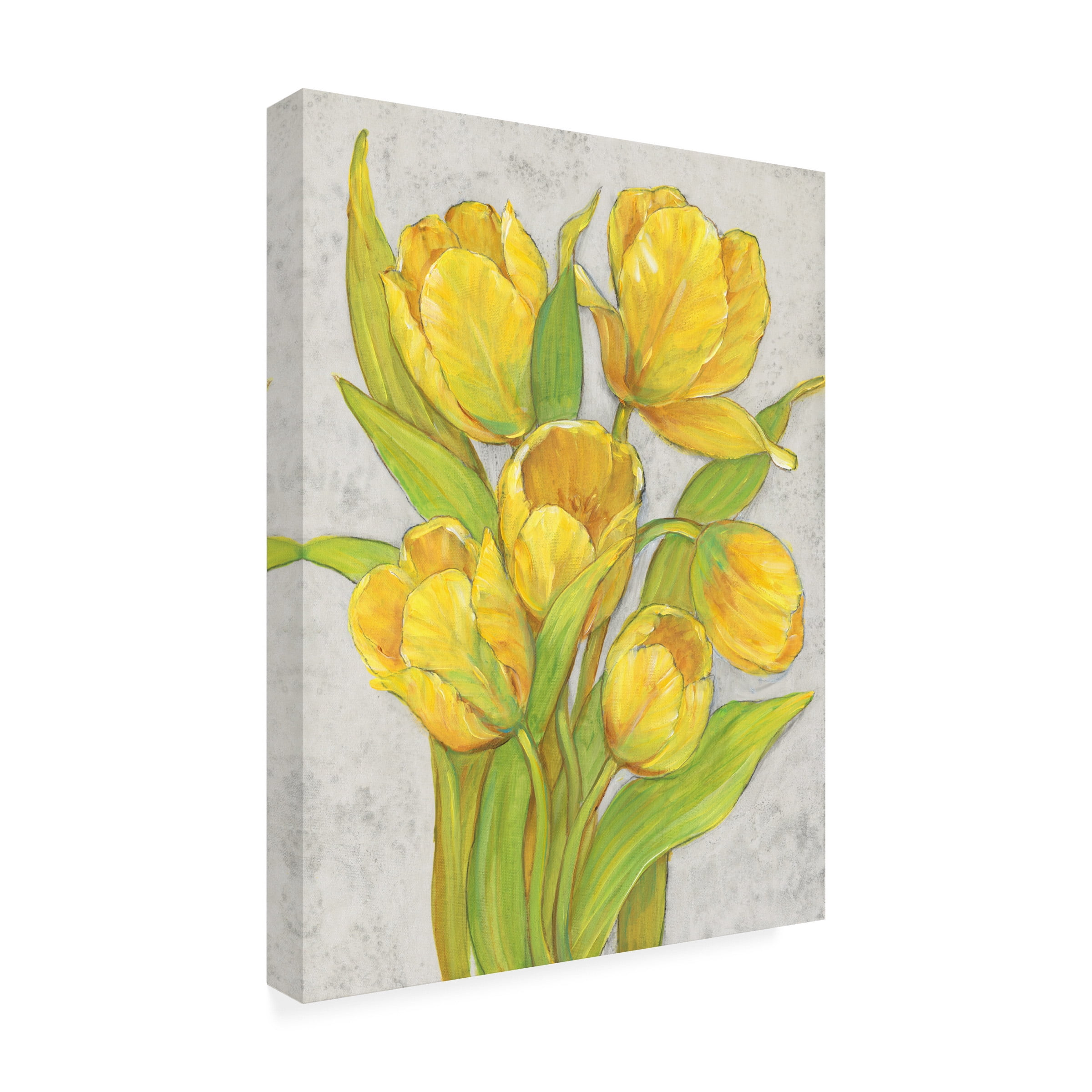 Tim OToole 'Yellow Tulips II' Canvas Art