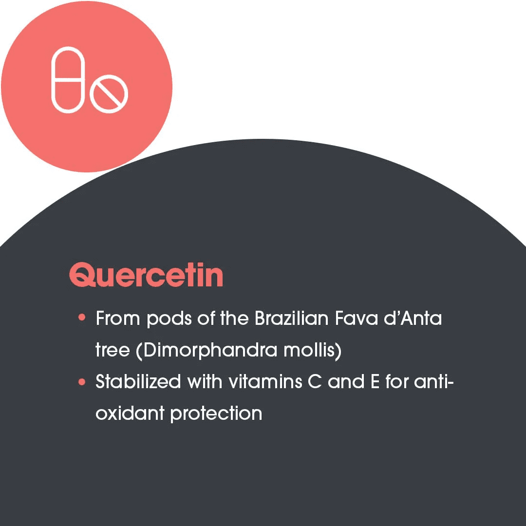 ARG Quercetin 300 - Supports Mast Cell and Histamine Response - Includes Vitamin C - Delivers 300 mg Quercetin Per Capsule - Vegetarian & Hypoallergenic - 30 Servings - 60 Capsules