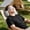 Gray/A, variant on 2026 Multifunctional 2 in 1 Neck Pillows Light-Blocking Foldable Travel Pillow with Eye Mask U-Shaped Nap Airplane,Pillow Made of PP Cotton,Travel Pillow for Airplane,Strip-Shaped Eye mask Pillow