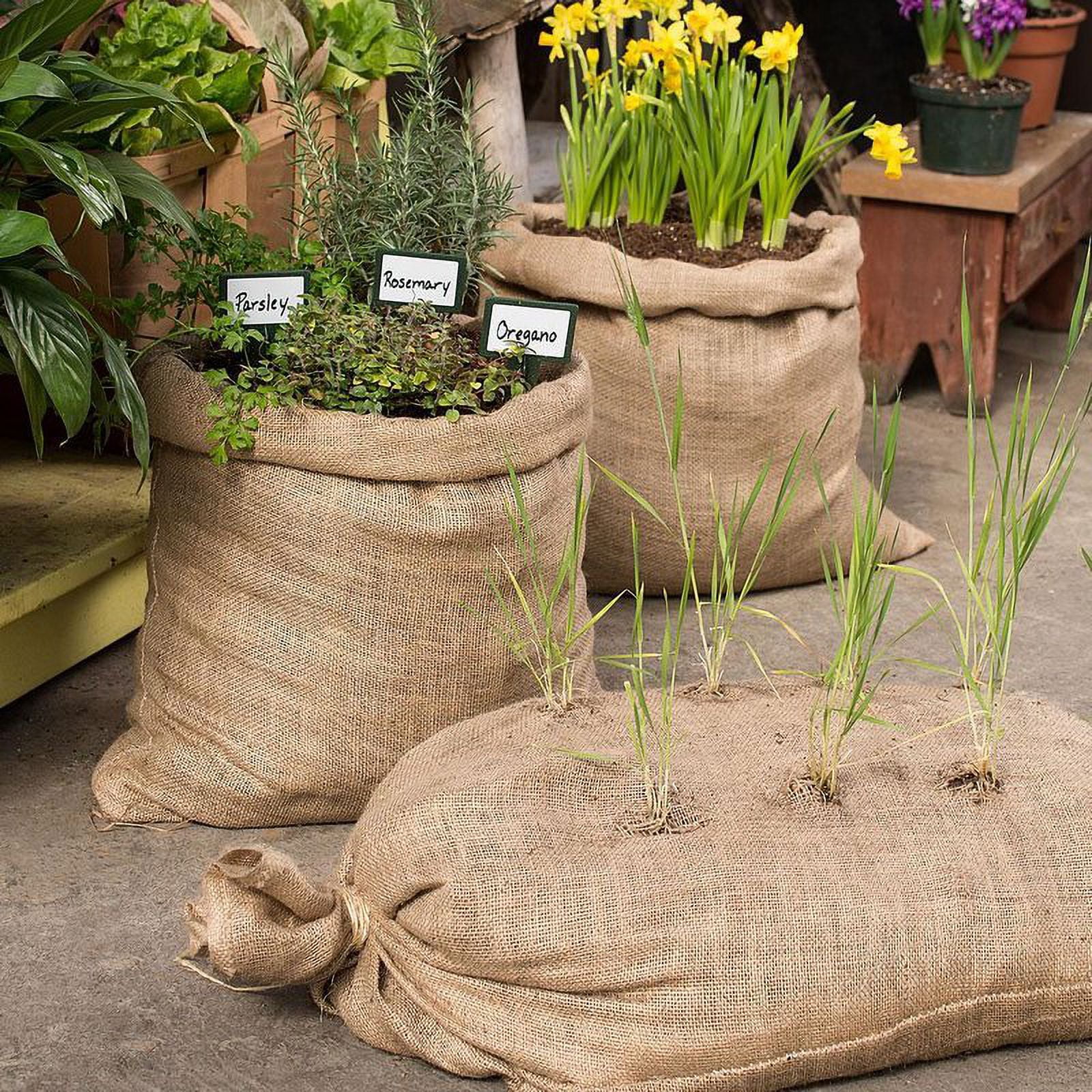 How to Make a Feedbag Garden