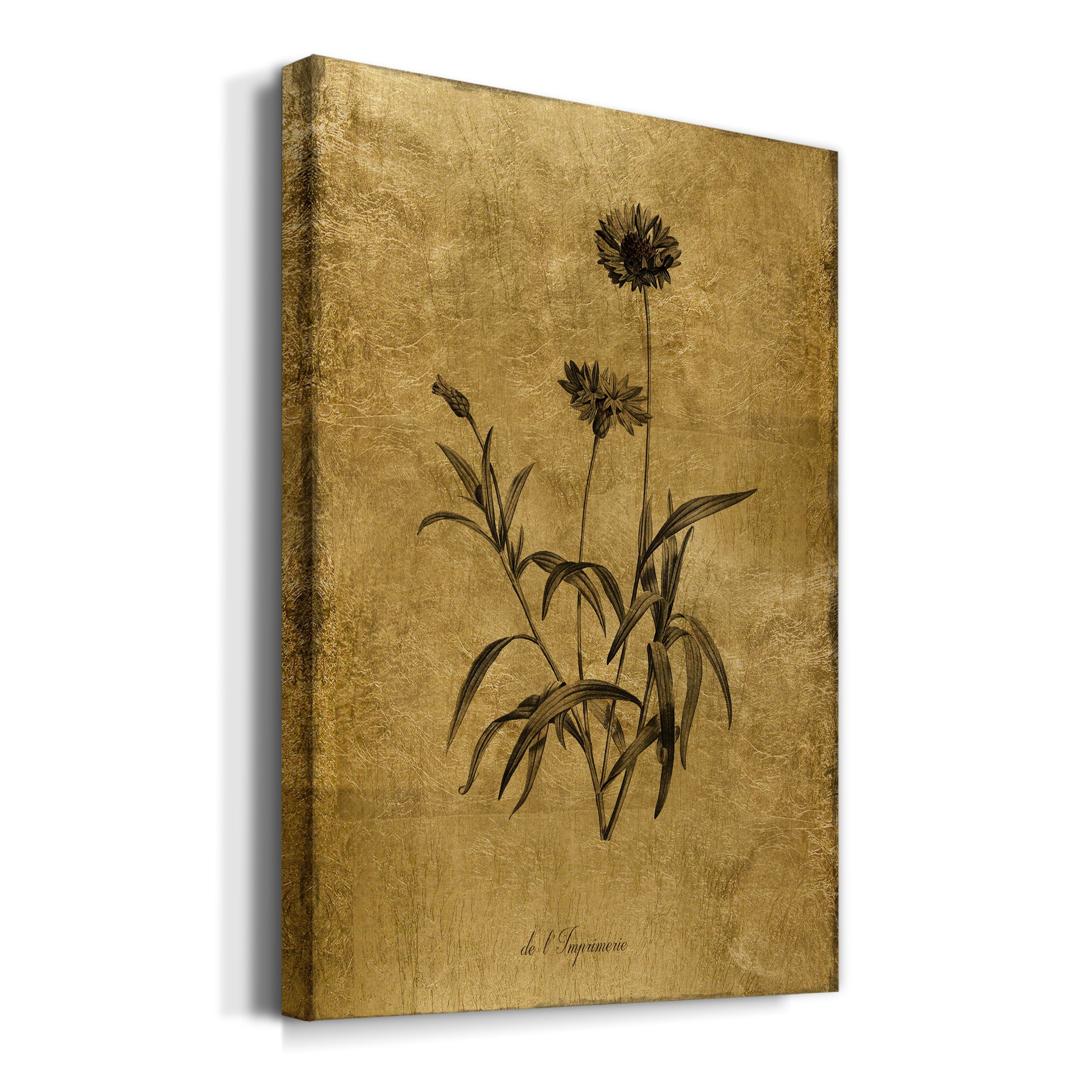 Gold Sketch Botanical I Premium Gallery Wrapped Canvas - Ready to Hang - 8 x 12