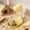 Yellow, variant on NWOKYZGH Automatic Hamster Feeder Food Dish Bowl Dispenser for Dwarf Hamsters, Gerbils, Mouse, Guinea Pig, Hedgehog