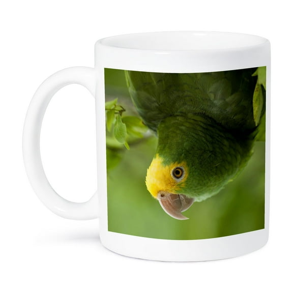 3dRose, Yellow-headed Amazon Parrot, Tropical bird, Belize - SA02 POX0118 - Pete Oxford, 15oz Mug
