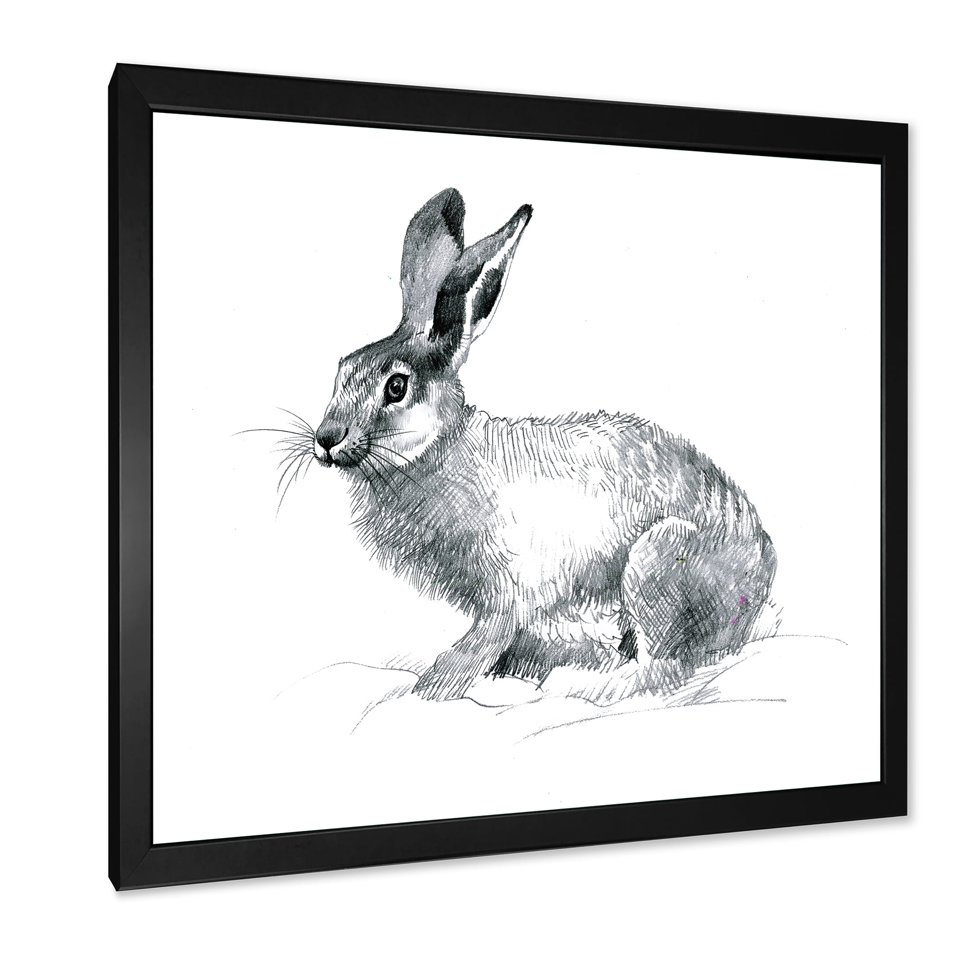 Designart 'Black and White Portrait Of Rabbit' Farmhouse Framed Art Print