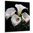 thumbnail image 2 of Designart "Beauty in Glimmering Hibiscus III" Floral Metal Wall Art Prints, 2 of 5