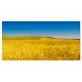 thumbnail image 2 of Tuscany Whet Field on Sunny Day - Landscape Artwork Canvas, 2 of 3