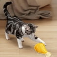 thumbnail image 3 of Natural Loofah Chew Toy for Interactive Cleaning Activity for Cats and Small Dogs, 3 of 5