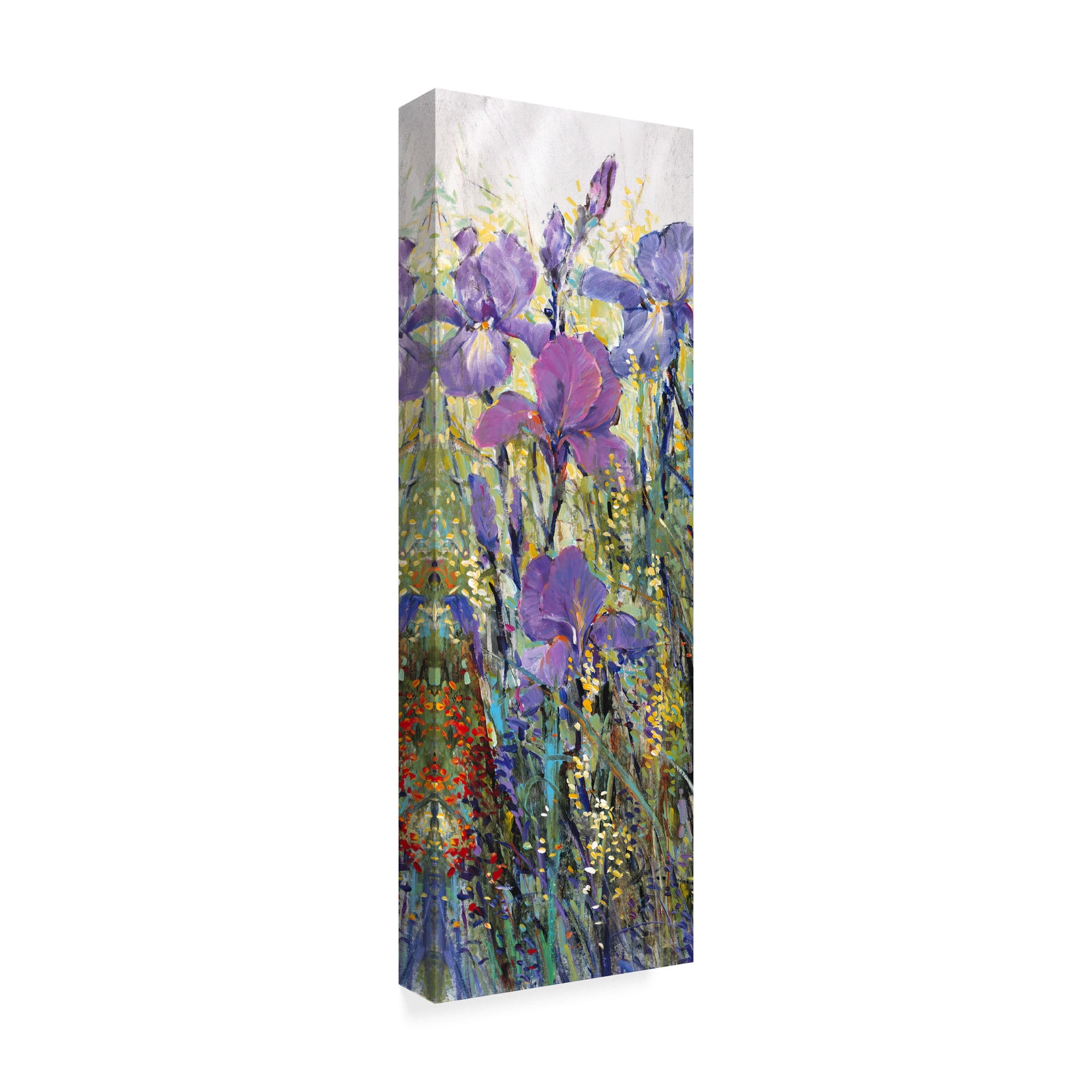 Trademark Fine Art 'Iris Field I' Canvas Art by Tim OToole