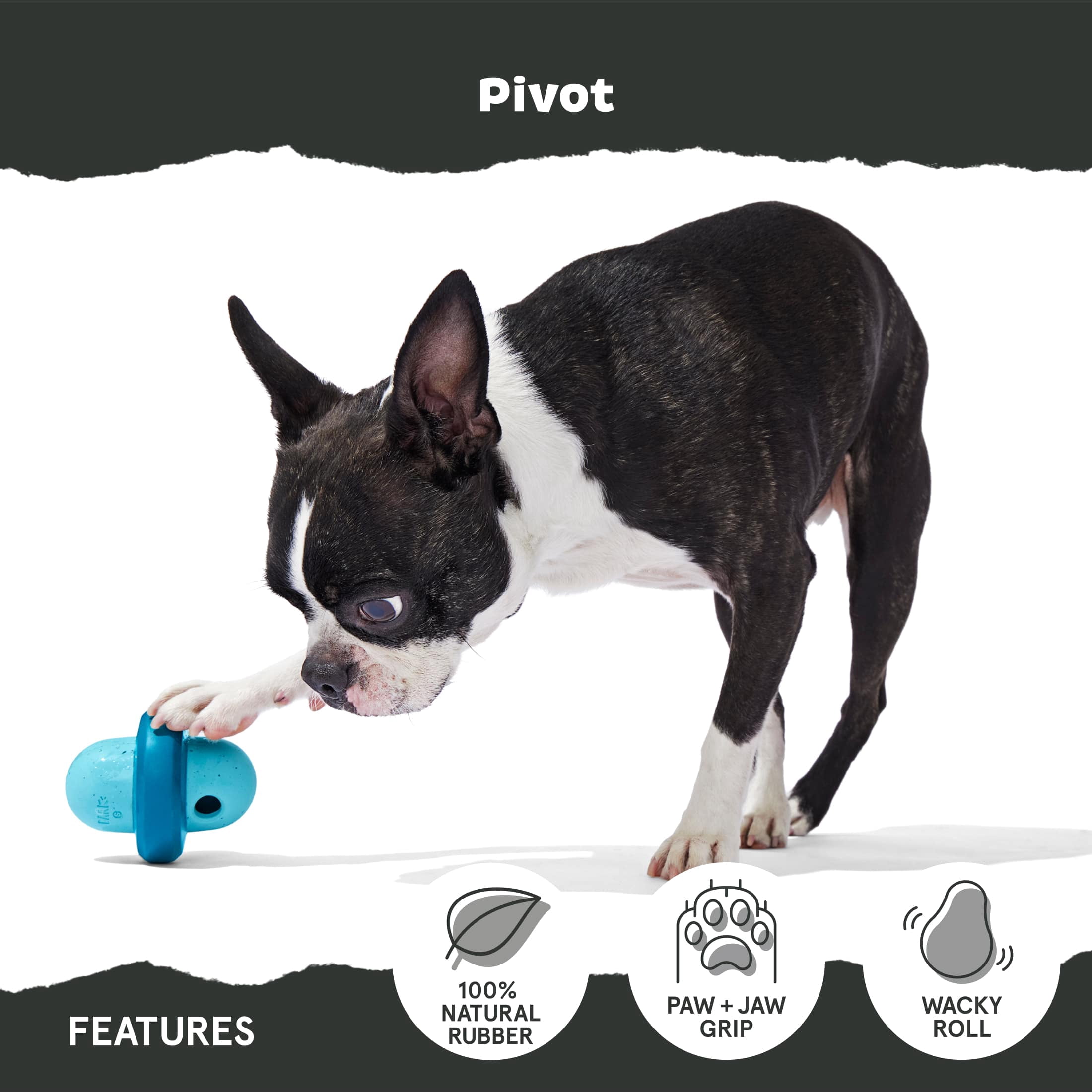 BARK Pivot Rubber Super Chewer Dog Toy, Tough Chew, Medium Size, Blue