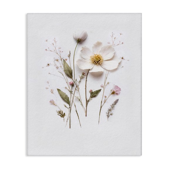 Stupell Industries Shabby Chic Delicate Pressed Flower Sprigs Canvas Art, 16 x 20, by Lettered and Lined