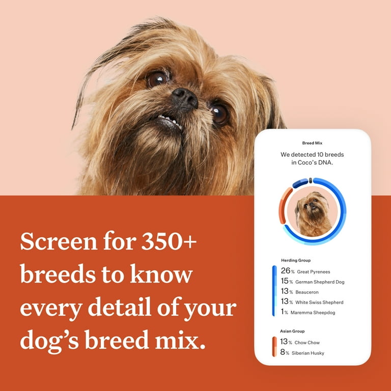 Mixed Breed Identification Test