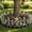 White, variant on Garden Edging Fence Flower Bed Border Landscape Edging Panel Easy Connect Weather Resistant Flexible Garden Divider For Pathways Flower Beds Yard Landscaping Backyard Gardeners