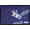 Black Framed Version, variant on Bluey (2018) - Bats Wall Poster, 22.375" x 34"