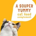 Purina Friskies Lil' Soups Salmon and Tuna for Cats Variety Pack, 1.2