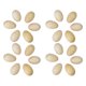 thumbnail image 1 of Juego de 24 Piezas de Madera de Percusion Musical Huevo Maracas Huevo Shakens Instrumento Musical de Juguete para Ninos, 1 of 5