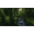 thumbnail image 2 of De La, Javier 32x19 Black Ornate Wood Framed with Double Matting Museum Art Print Titled - Hidden Wood, 2 of 4