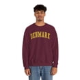 thumbnail image 5 of Denmark Sweatshirt Gifts Crew Neck Shirt Long Sleeve Unisex, 5 of 7