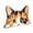 E, variant on Wooden Peeking Tabby Cat Wall Decor, Watercolor Peekaboo Cat Hanging Plaque, Cute Cat Face Sign for Door Window Home Wall Ornament
