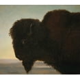 thumbnail image 2 of Bierstadt, Albert 29x26 White Modern Wood Framed Museum Art Print Titled - Buffalo Head, 2 of 4