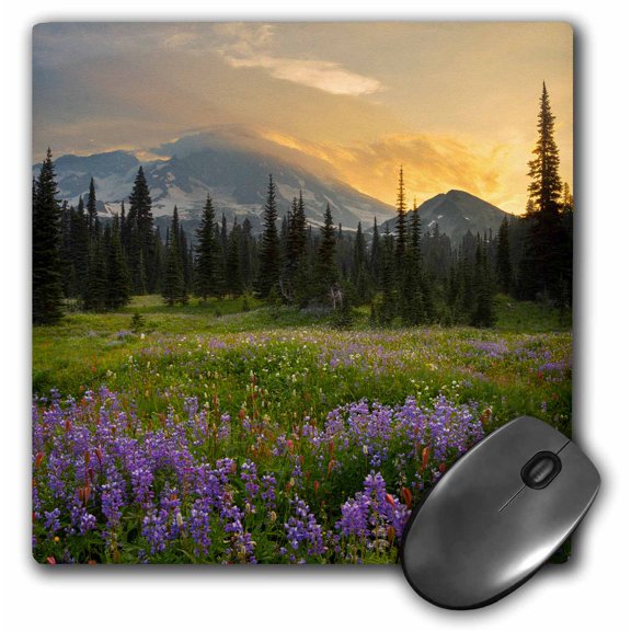 3dRose, USA, Washington, Field of lupine and Mt. Rainier at sunrise., MousePad