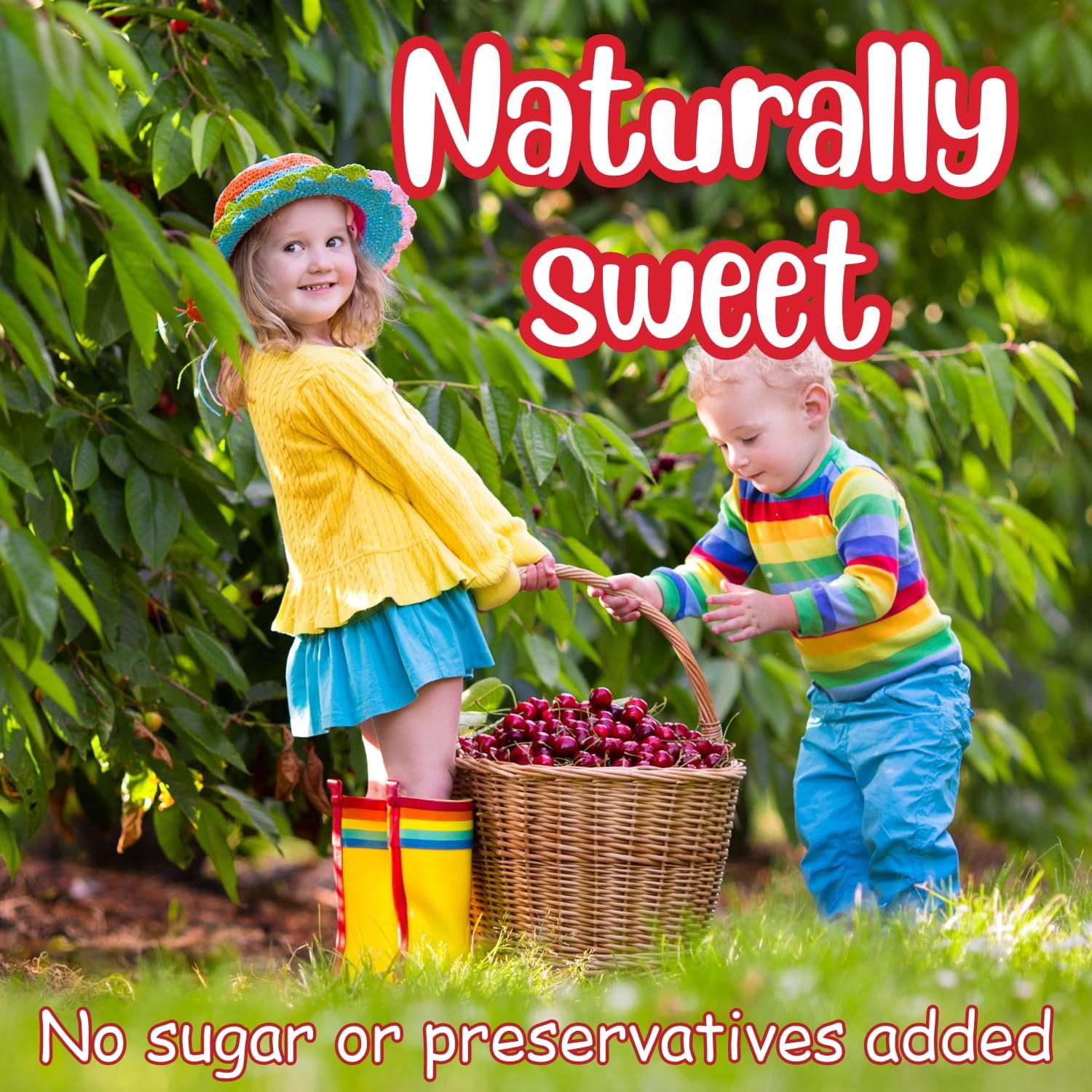 Dried Cherries by It's Delish, 3 LBS Jumbo Container  Naturally Sweet Dried Cherries Unsweetened  No Sugar Added  Healthy Snacks Bulk Cherry Dried Fruit for Baking and Snacking  Vegan, Kosher