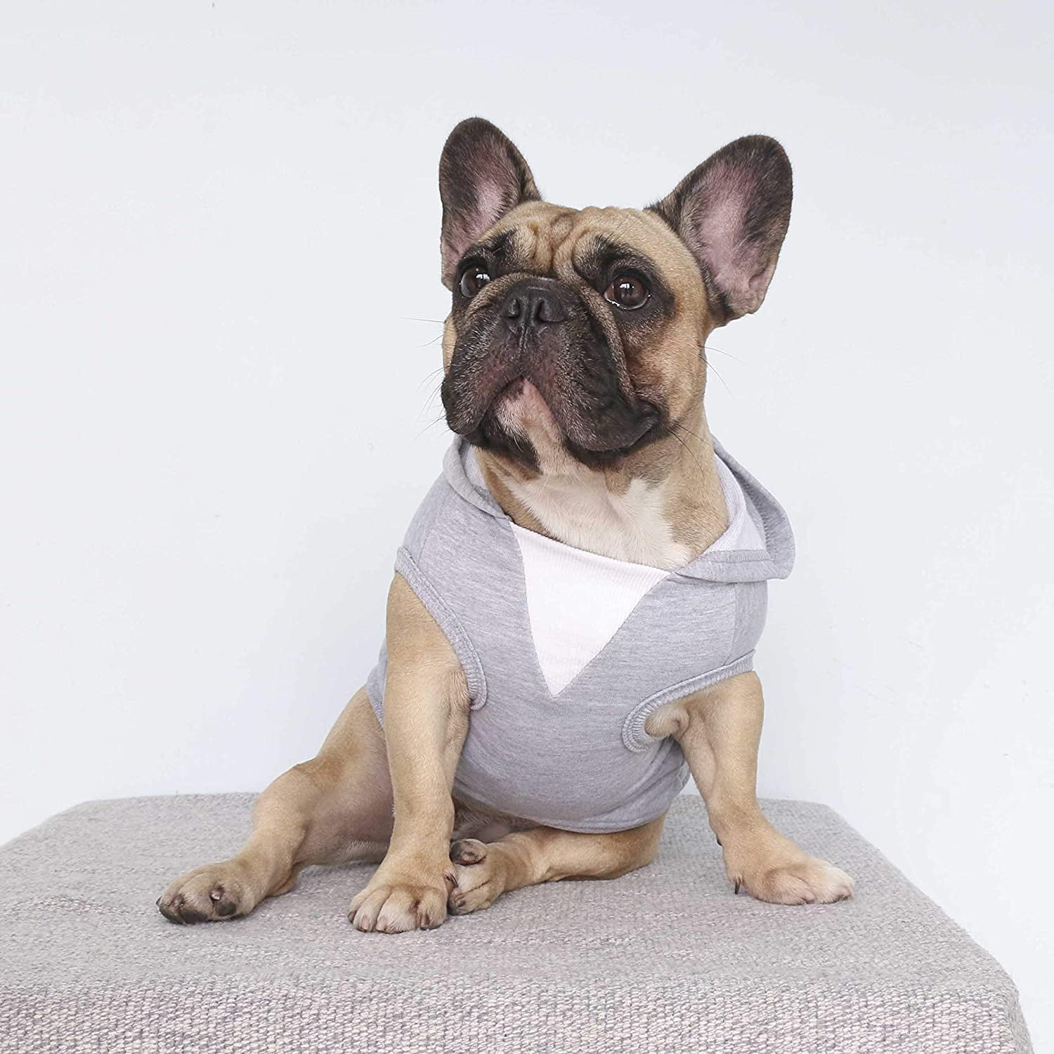 GFDYREE Sleeveless Dog Hoodies Clothes for Medium Dogs Cotton Sweatshirts French Bulldog Frenchie Pug Corgi Pitbull English Grey Size L Walmart