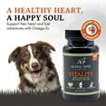Krill Oil for Dogs Vitality by Alpha Dog Nutrition Reduces Dog