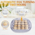 thumbnail image 3 of Topchances 16 Egg Incubator with Humidity Display and LED Egg Candler, Automatic Egg Turner and Water Adding Temperature Control, Adjustable Egg Tray for Hatching Chickens, Ducks, Goose, Quails, 3 of 12