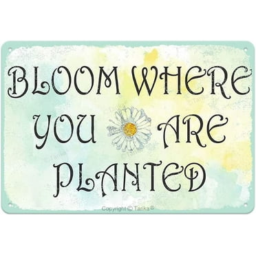 Bloom Where You are Planted 8X12 Inch Tin Retro Look Decoration Crafts Sign for Home Kitchen Bathroom Farm Garden Garage Inspirational Quotes Wall Decor