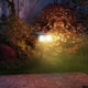 thumbnail image 4 of Luces LED Solares Xihbxyly para Exteriores Focos para Paisajismo Iluminación para Patios y Pasarelas, 4 of 7