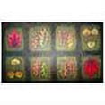 thumbnail image 2 of Custom Printed Rugs AWV056 Fallen Leaves Doormat Rug, Multi-Color - 18 x 30 in., 2 of 2