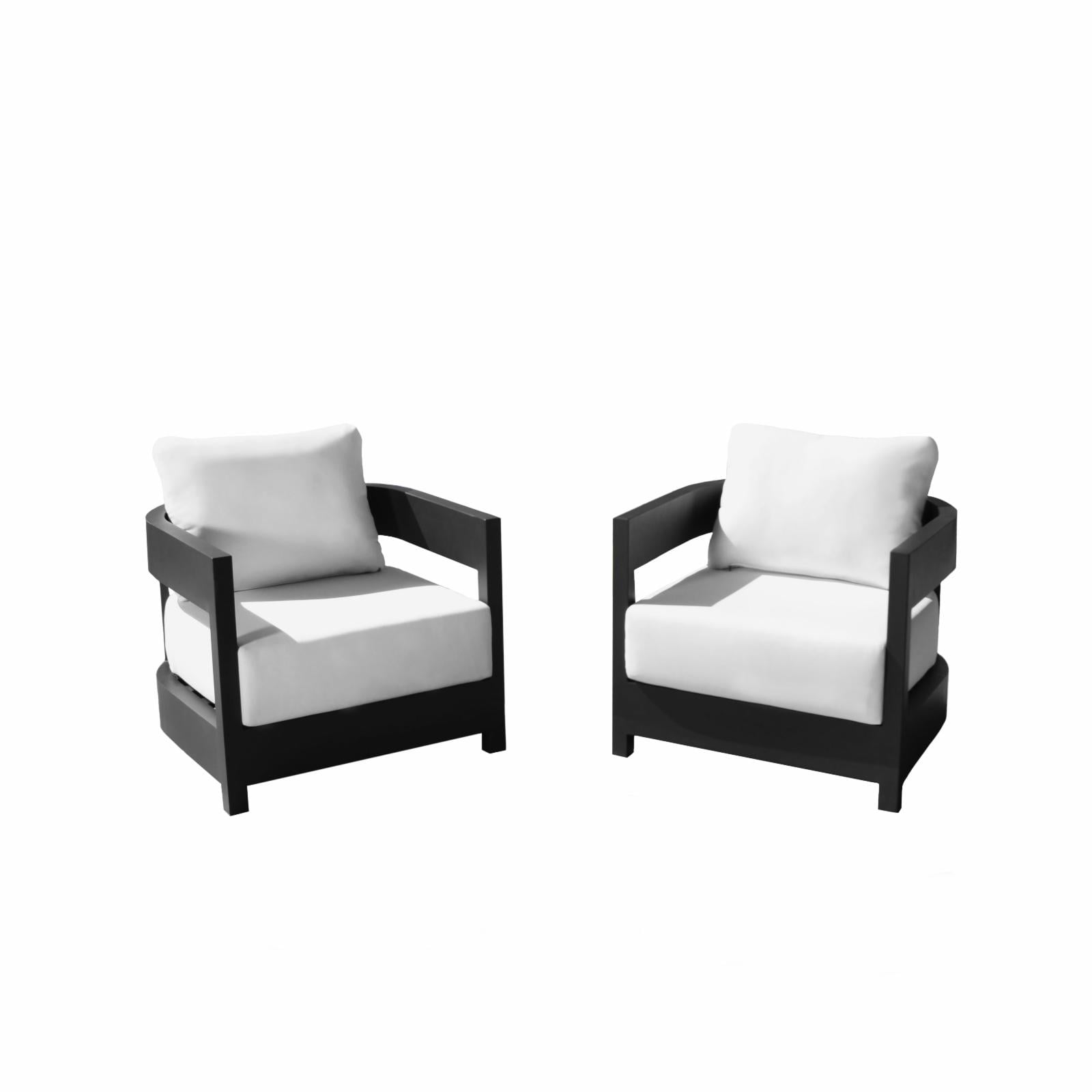 Devon & Claire Perry Outdoor Arm Chair  - Set of 2