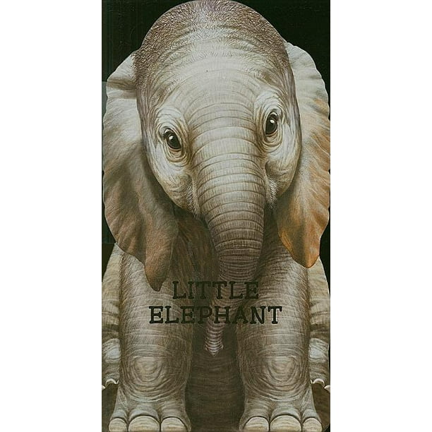 Little Elephant (Board Book)