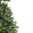 thumbnail image 3 of Northlight Real Touch™️ Pre-Lit Full Noble Fir Artificial Christmas Tree - 7.5' - Clear Lights, 3 of 8