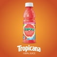 thumbnail image 6 of Tropicana Ruby Red Grapefruit 100% Juice, 10 fl oz Bottles, 24 Count, 6 of 7
