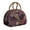 Camel-3, variant on Ombre Paisley Lunch Bag - Gradient Dye Effect Design, Thermal Insulated Tote for Fashion Influencers