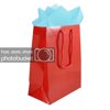 JAM Gift Bag Assortment, 2 Red Bags & Baby Blue Tissue Paper, 3/Pack
