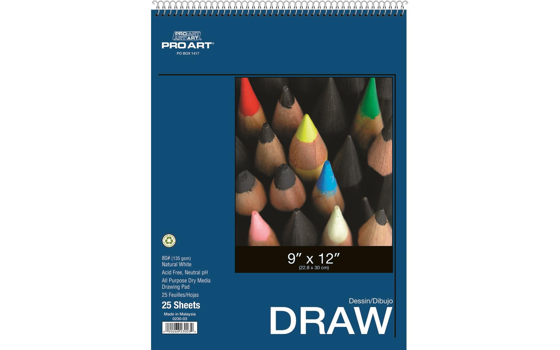 Pro Art Drawing Paper Pad 9x12 80lb 25pc Wire