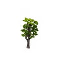 thumbnail image 1 of Wosthever Árbol en miniatura de arena planta jardín ornamento de paisaje modelo de construcción DIY parque simulación decoración escena Decoración del hogar 8cm Wosthever HA074669-01, 1 of 6