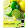 thumbnail image 5 of Essence Lemon-Lime Essential Oil Blend, 5 mL – Citrus Aromatherapy Oil, 5 of 8