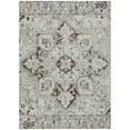 thumbnail image 2 of Addison Rugs Chantille Indoor/Outdoor Traditional Oriental Ivory Washable Rectangle Rug, 3' x 5', 2 of 6