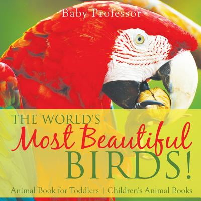 The World's Most Beautiful Birds! Animal Book for Toddlers Children's Animal
