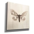 thumbnail image 2 of Epic Graffiti 'Sepia Moth' by Incado, Giclee Canvas Wall Art, 18"x18", 2 of 8