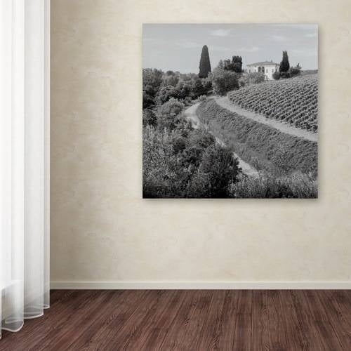 Trademark Fine Art "Tuscany V" Canvas Art by Alan Blaustein