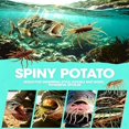 thumbnail image 2 of Floating Potato Soft Plastic Lure, Realistic Multi-Tentacle Worm Bait, High Elastic TPE Fishing Lure for Bass, Trout and Freshwater Fishing Rigs, 2 of 8