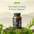 thumbnail image 3 of Gaia Herbs Lion's Mane Mushroom - Brain Health Support* - 120 Vegan Capsules (120 Servings), 3 of 9