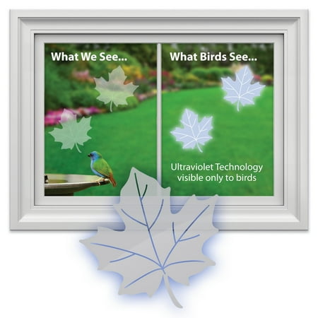 Maple Leaf Window Decal-Save Wild Birds!